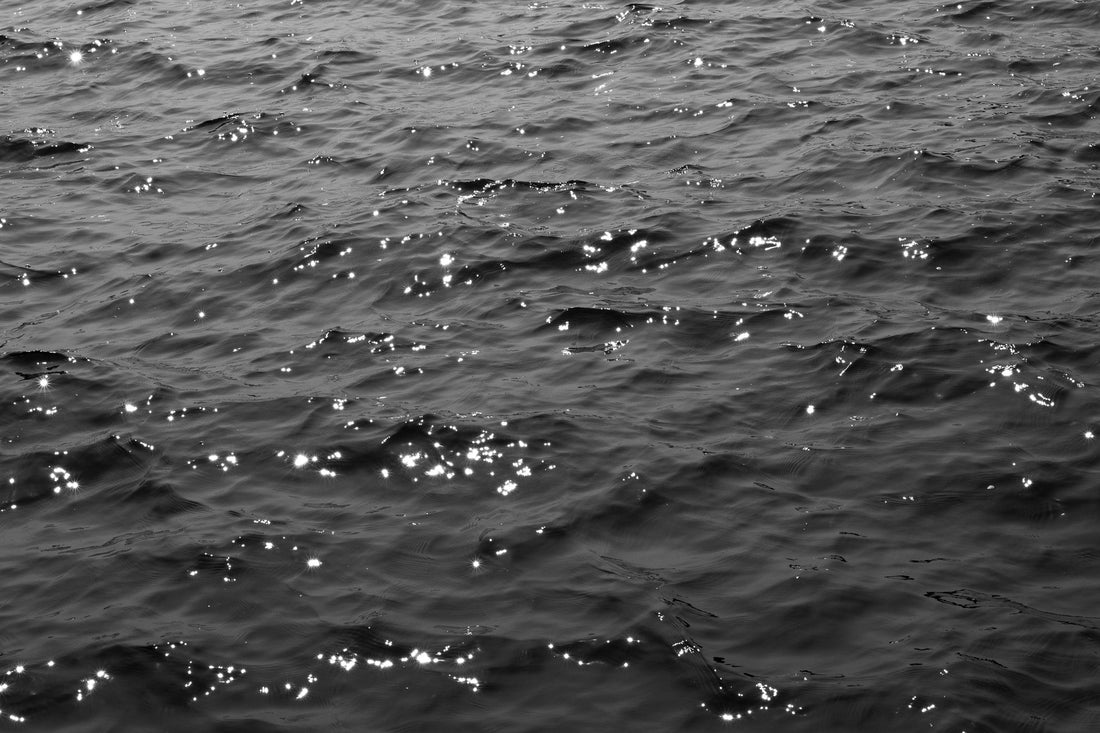 Journal 001: Long Live the Artsy