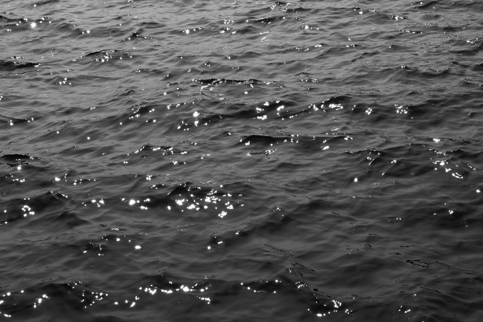 Journal 001: Long Live the Artsy